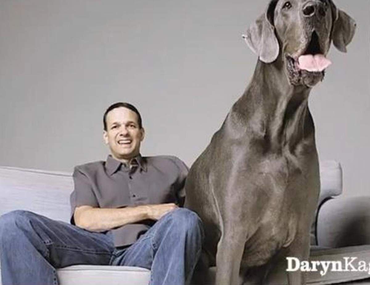 Avea 2,13 metri înălţime! Cel mai înalt câine din lume a murit! / VIDEO