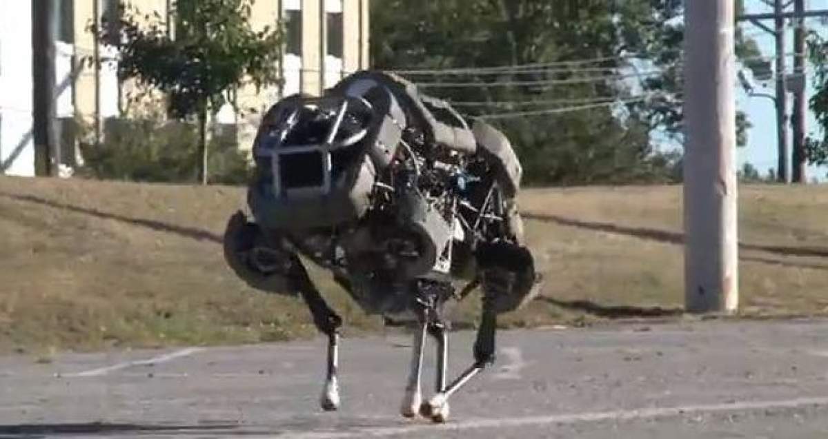 Uite cum se mişcă cel mai rapid robot din lume! / VIDEO