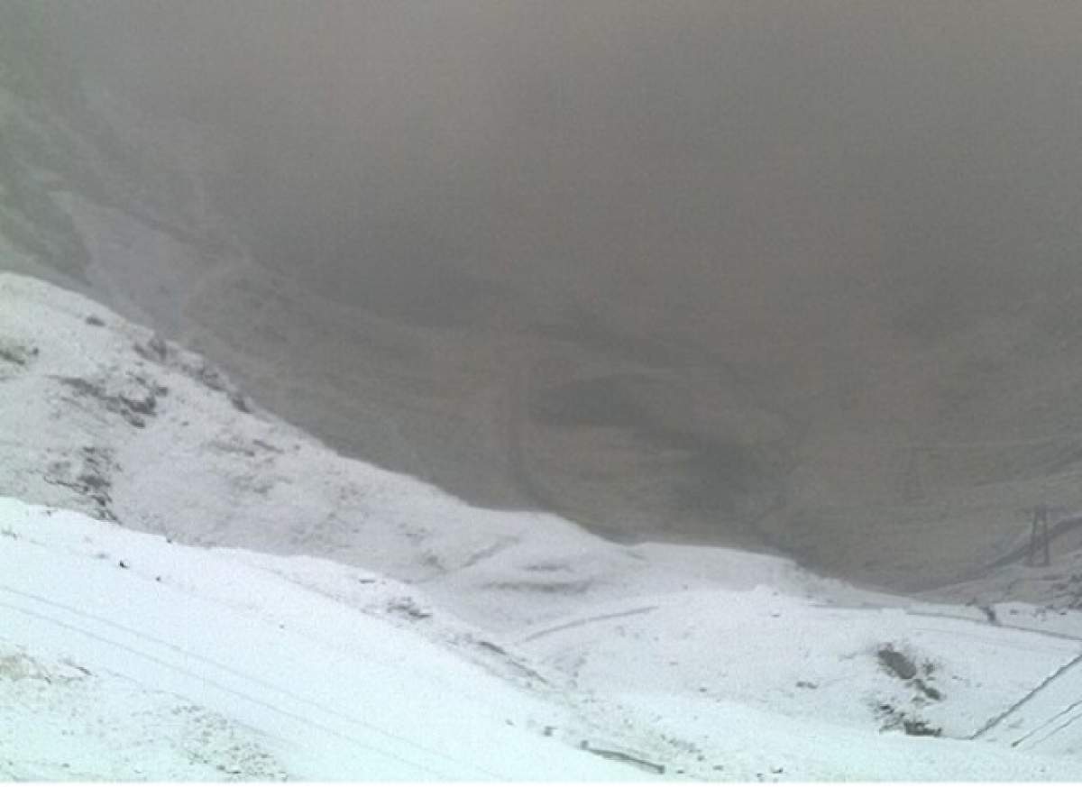 Ninge în România! Imagini surprinse în urmă cu puţin timp