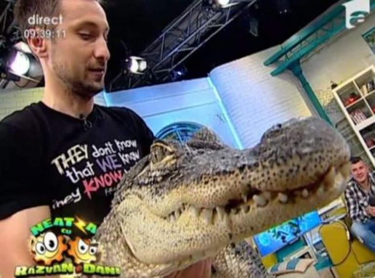 VIDEO Dani Oţil a dat dovadă de un curaj imens! Uite cum se distrează cu crocodilul!