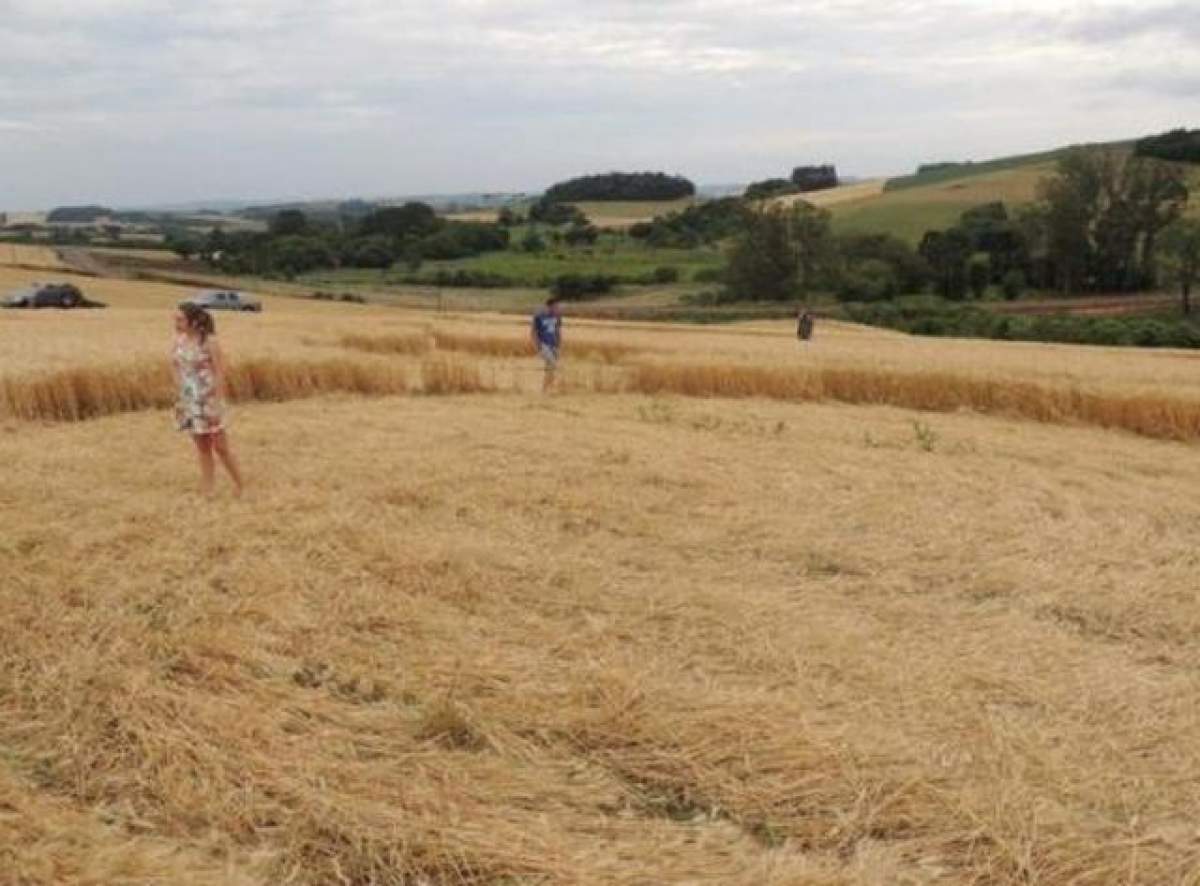 Descoperire şocantă la marginea unui oraş din Brazilia! Ce au găsit fermierii când au mers pe câmp te va lăsa fără cuvinte