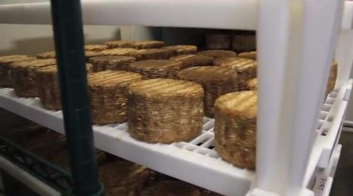 VIDEO Cum arată brânza făcută din bacterii umane din buric, nas şi tălpi