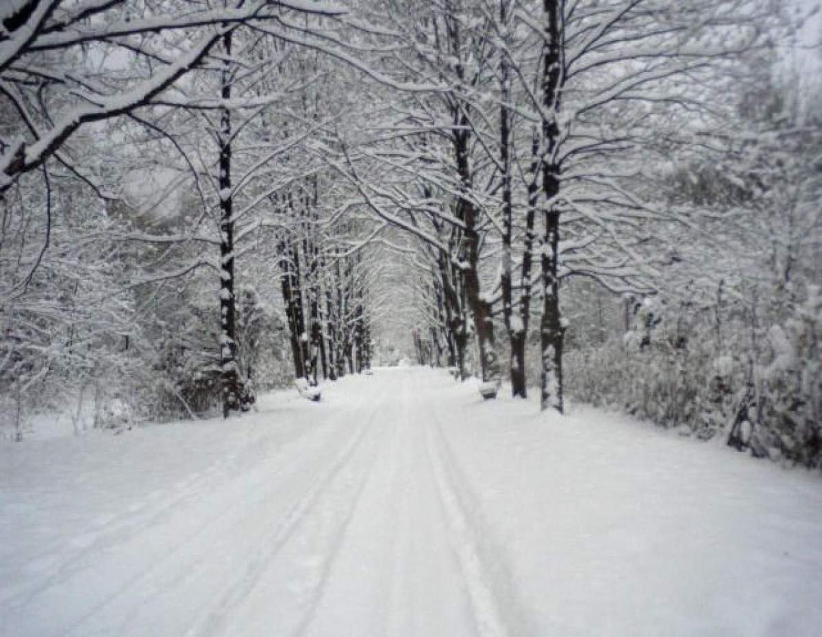 Ninge în România! Vezi în ce zone s-a aşternut zăpadă de câţiva centimetri