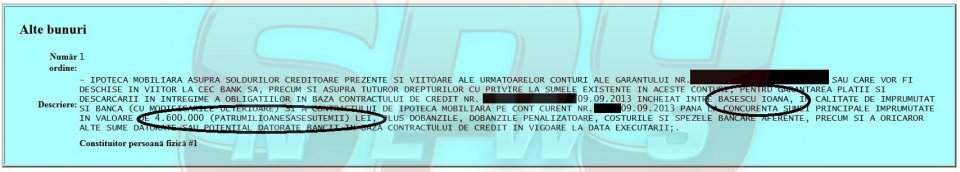 Cât plăteşte Ioana Băsescu pentru împrumutul de un milion de euro!