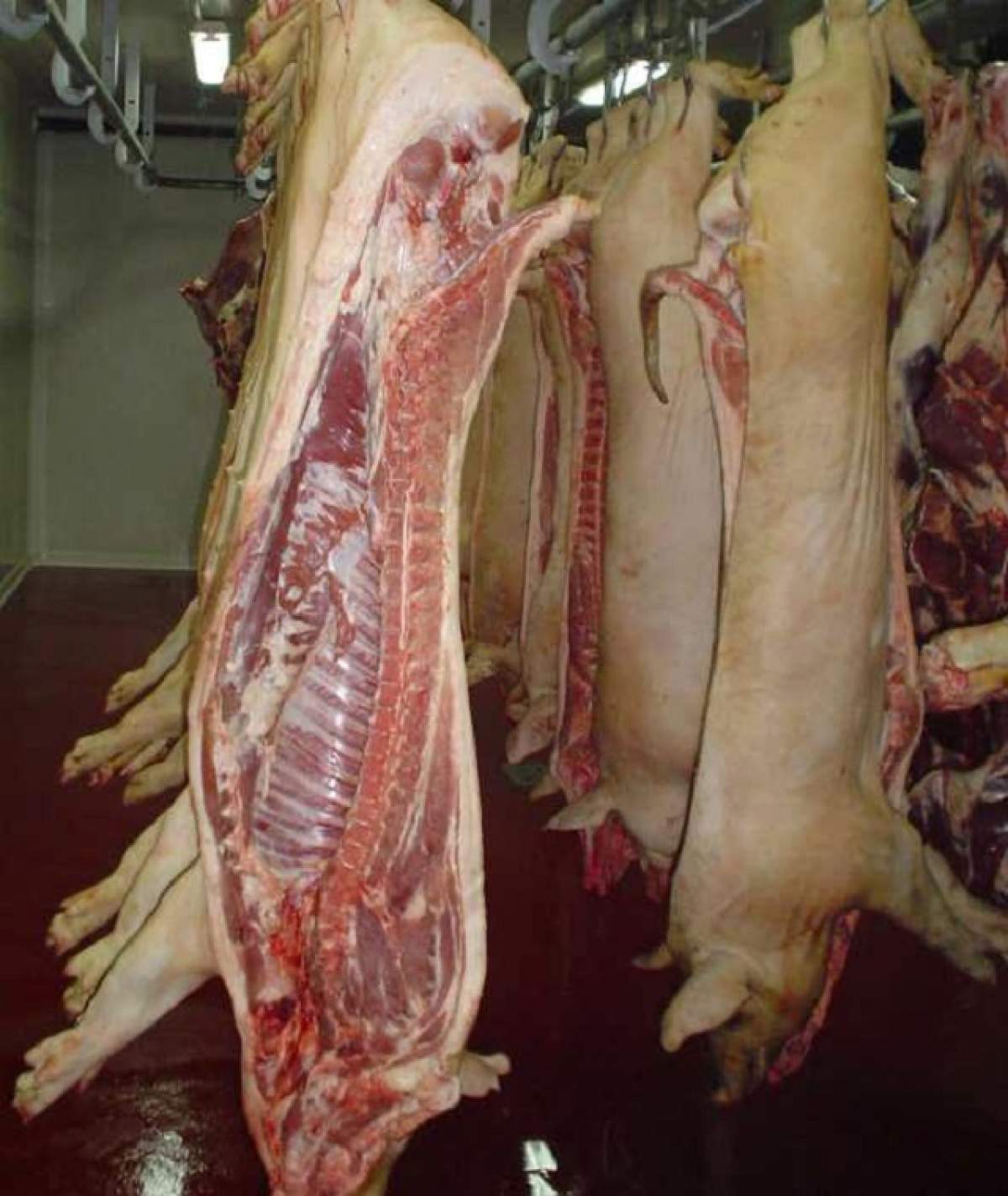 Panică în Argeş! Pesoanele care au mâncat carne de porc au ajuns la spital! Vezi ce s-a întâmplat ca să nu o păţeşti