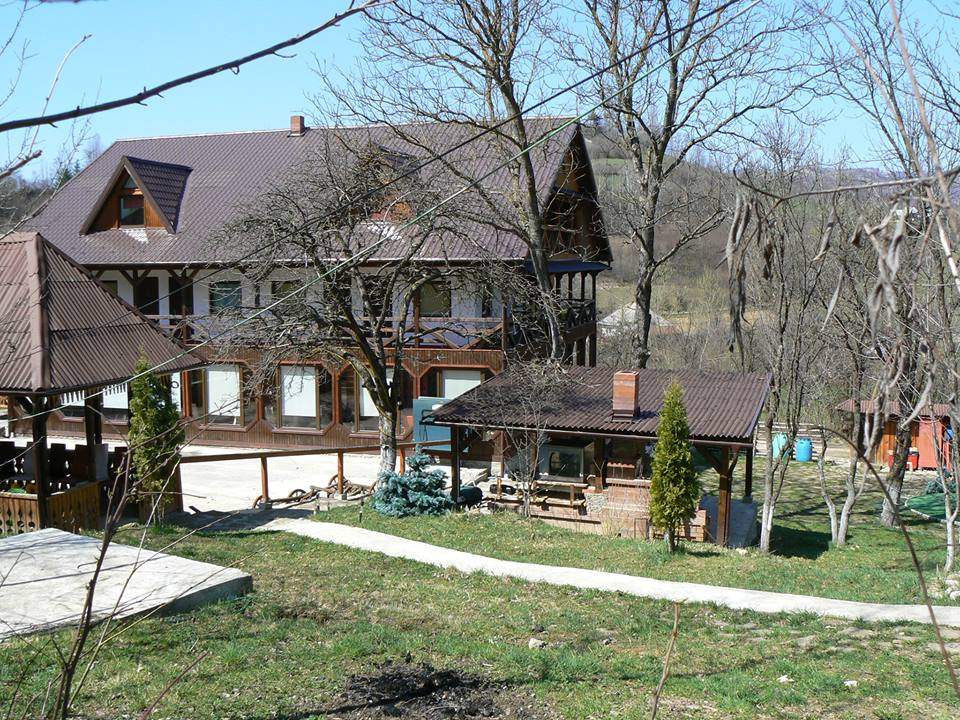 La 72 de ani, Israela vrea să înceapă o nouă viaţă. Vinde pensiunea şi pleacă în America!