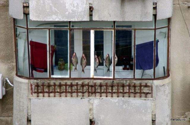 Am trăit să o vedem şi pe asta! Să nu te mire dacă o să observi în balconul vecinului aşa ceva
