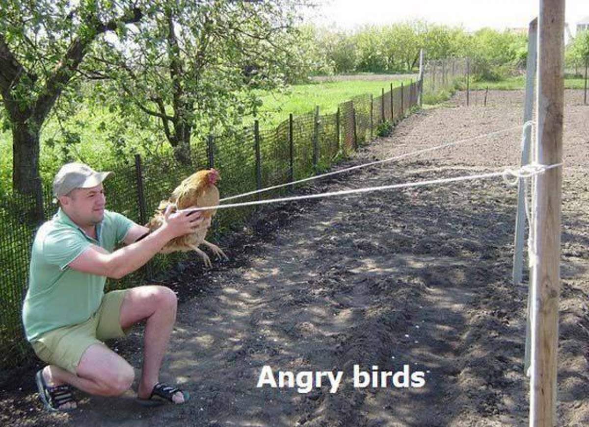 Uite cât de tembel e ăsta! Angry Birds... Made în România