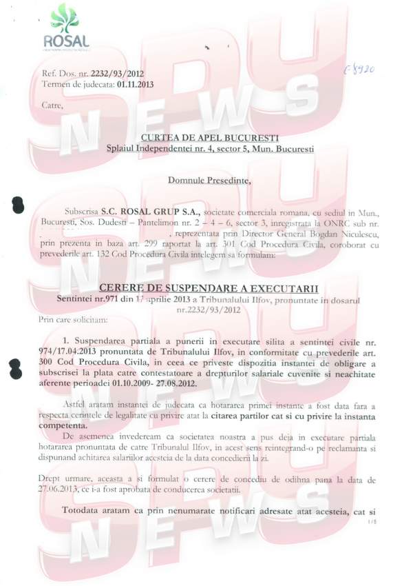 Noi documente incendiare în cazul procesului Adrianei Bahmuţeanu cu firma fiului vitreg!