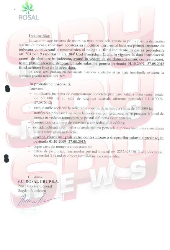 Noi documente incendiare în cazul procesului Adrianei Bahmuţeanu cu firma fiului vitreg!