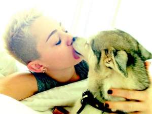 Şocant! Miley Cyrus a fost linsă pe faţă! Vezi imaginea uimitoare!