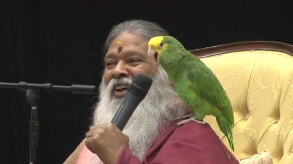 Aşa ceva este incredibil! Un papagal vorbeşte în numele lui Dumnezeu! / Video