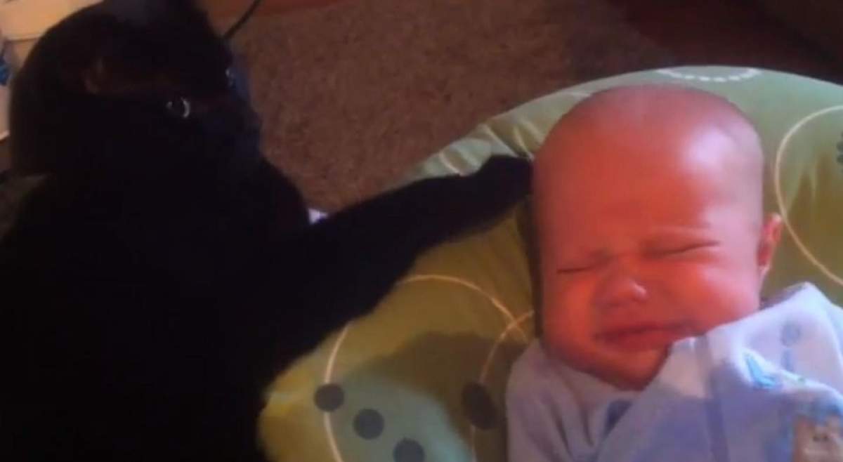 O pisică adoarme un bebeluş care plânge! VIDEO ADORABIL!