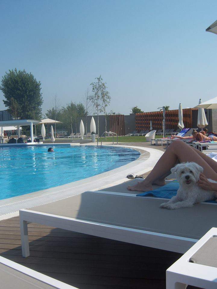 Simona Sensual, doar în sutien şi chiloţi, mângâie un mascul feroce! Ai să rămâi surprins!
