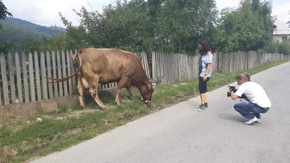 Andreea Marin, îndeletniciri de "ţărăncuţă" veritabilă! Vezi cum îi stă la coada vacii!