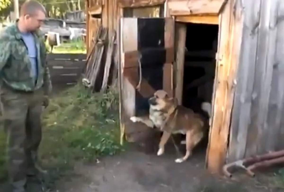 Un câine cu foarte multă personalitate / VIDEO