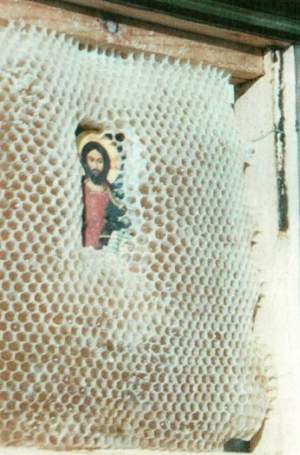 Minune! Un bărbat a pus o icoană cu Iisus într-un stup de albine însă ce s-a întâmplat este de neimaginat! /FOTO