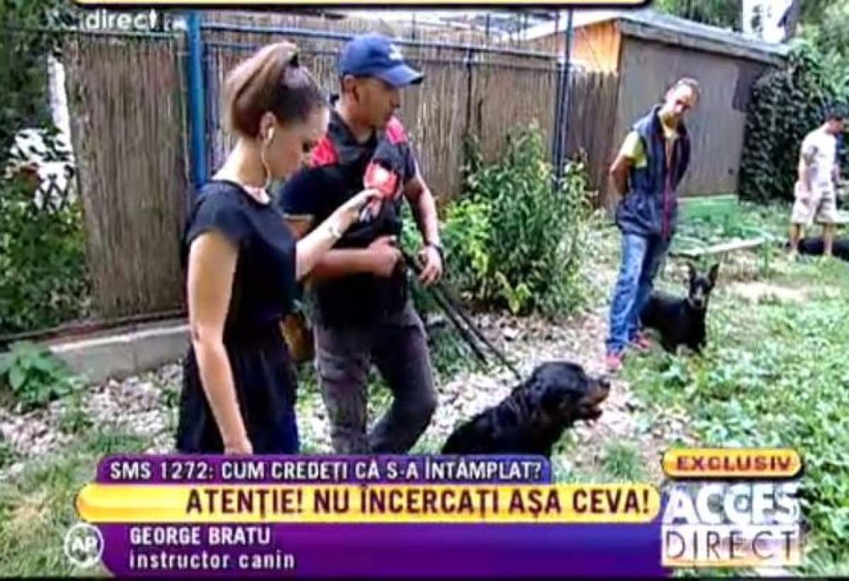 Ipoteză şocantă! Ionuţ sfâşiat de un câine de luptă? Uite ce a demonstrat un experiment cu astfel de câini agresivi!