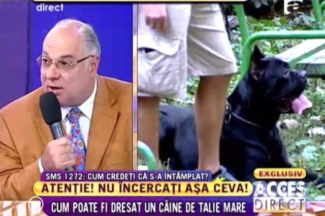 Ipoteză şocantă! Ionuţ sfâşiat de un câine de luptă? Uite ce a demonstrat un experiment cu astfel de câini agresivi!