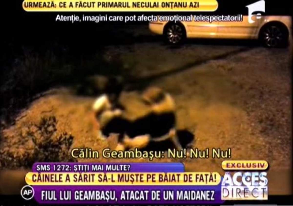 Fiul lui Călin Geambaşu, atacat de un maidanez!/ VIDEO