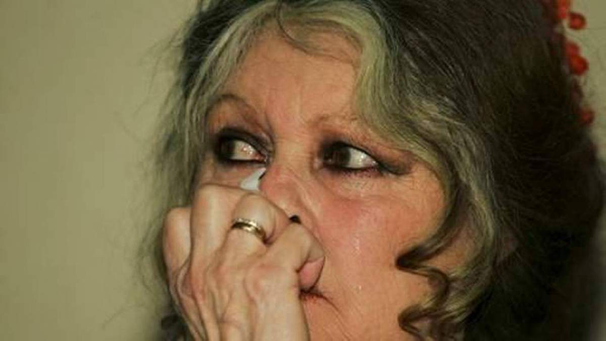 Brigitte Bardot despre maidanezii din România: "Decizia dumneavoastră are rezonanţa unui apel sângeros"