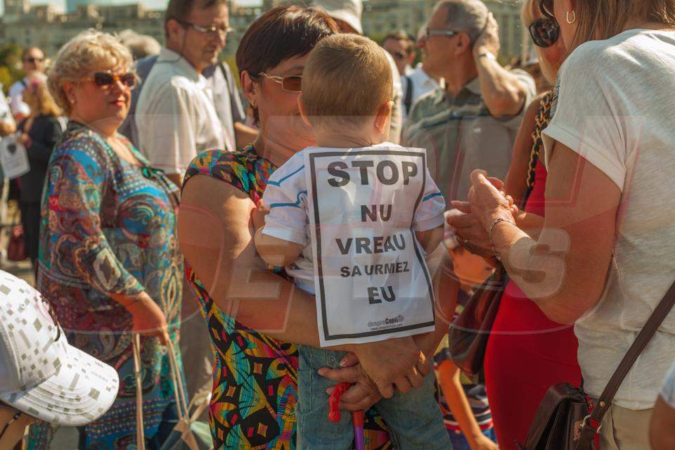 Nadine a ieşit în stradă:"Nu mai vrem câini fără stăpân!"/FOTO & VIDEO