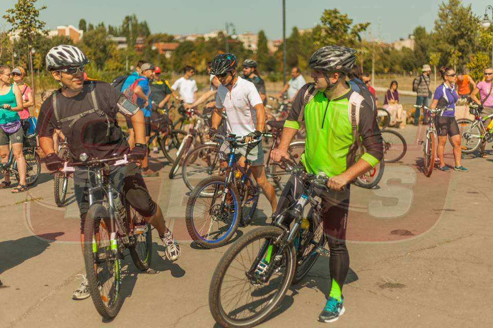 Nadine a ieşit în stradă:"Nu mai vrem câini fără stăpân!"/FOTO & VIDEO