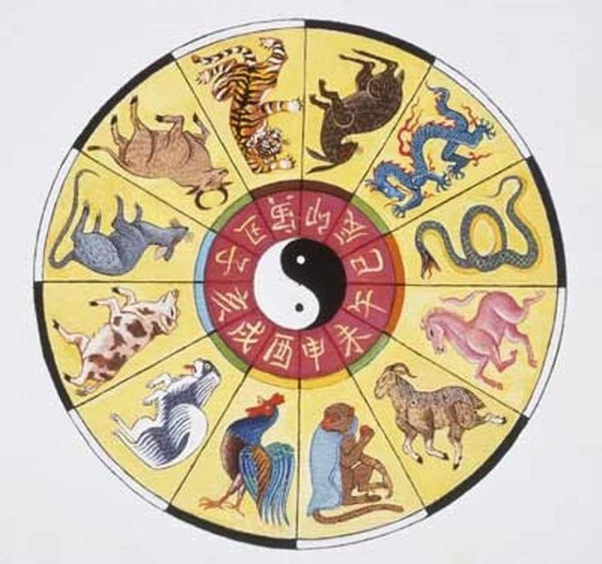 Zodiacul chinezesc nu minte: "Anul bolilor de inimă şi depresiilor"! Iată previziunile lui 2014 şi vezi cum o duc vedetele din showbiz-ul autohton!
