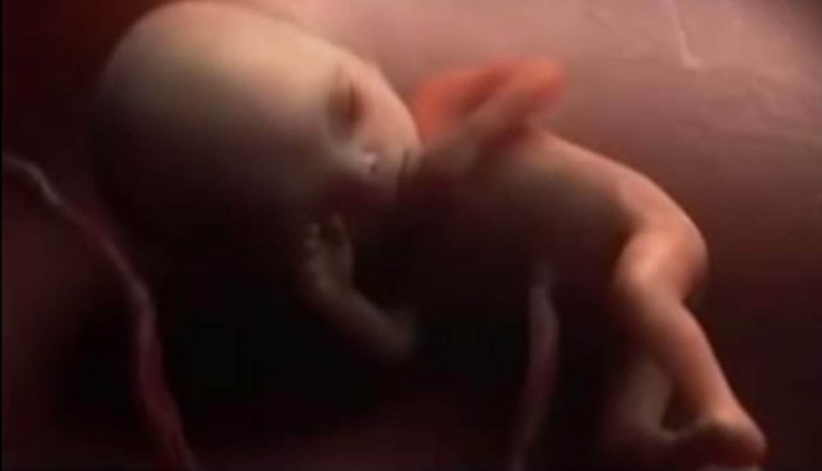 VIDEO IMPRESIONANT Viaţa înainte de naştere! Aşa se formează bebeluşul în pântecul mamei! Merită văzut!
