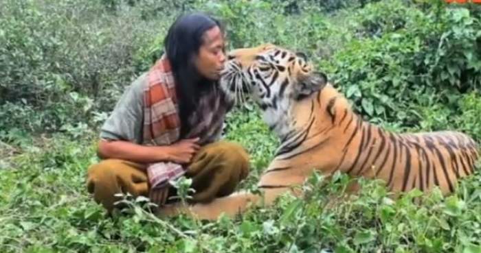 VIDEO Prietenie sau nebunie? Se pupă şi îmbrăţişează cu un tigru de 178 de kilograme