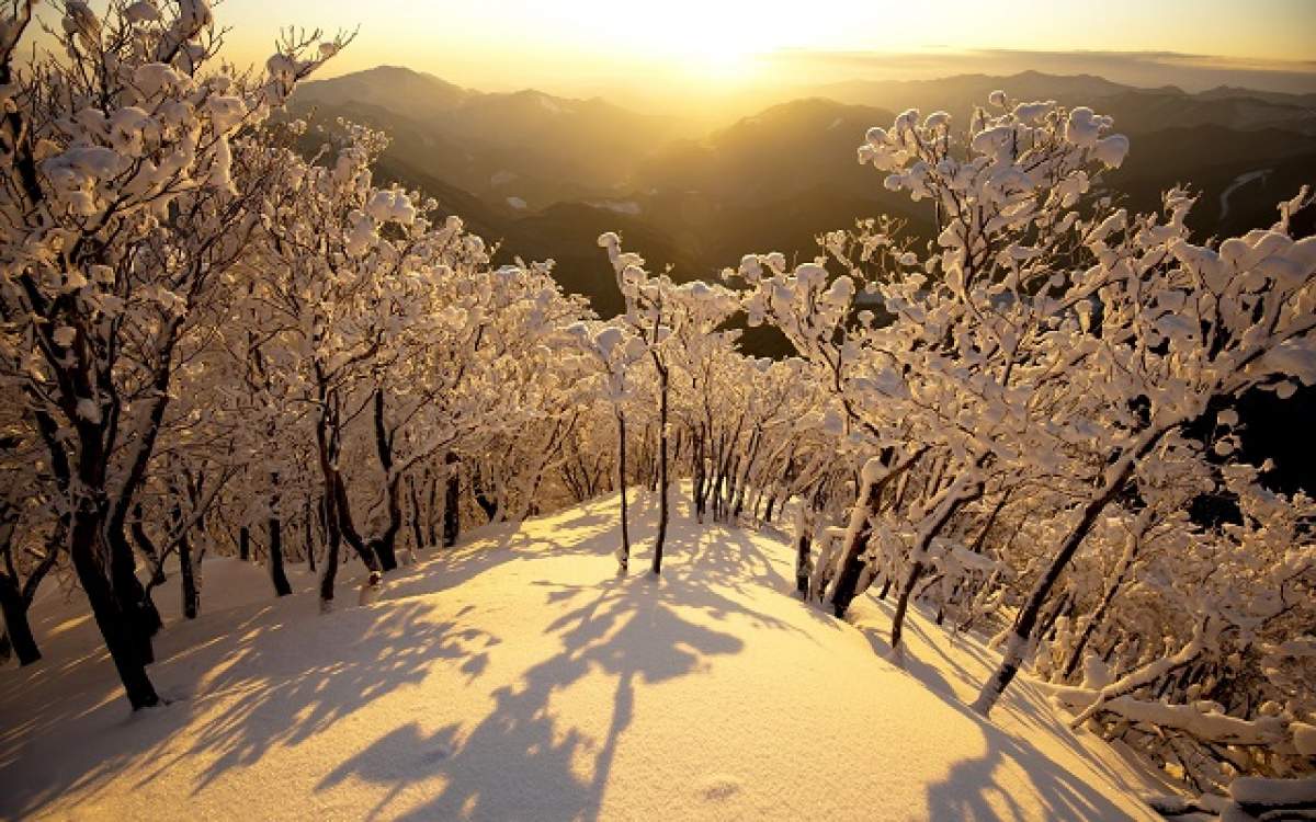 Asta e cea mai nouă prognoză a meteorologilor! Uite când va veni iar vremea caldă