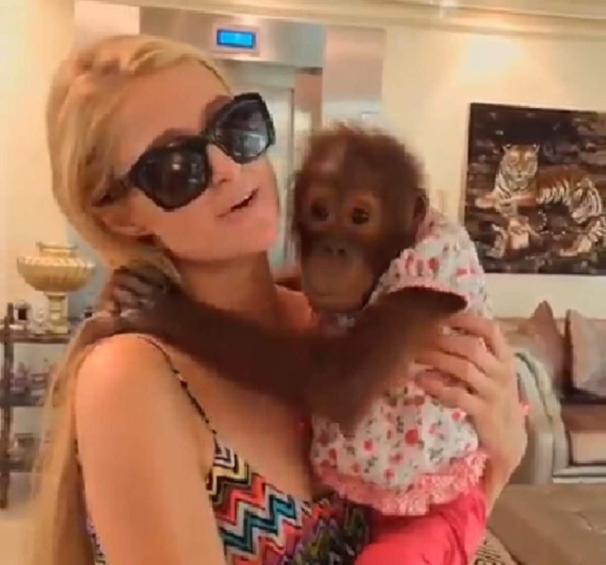 VIDEO / Ce viaţă! Cum îşi alintă Paris Hilton maimuţa!