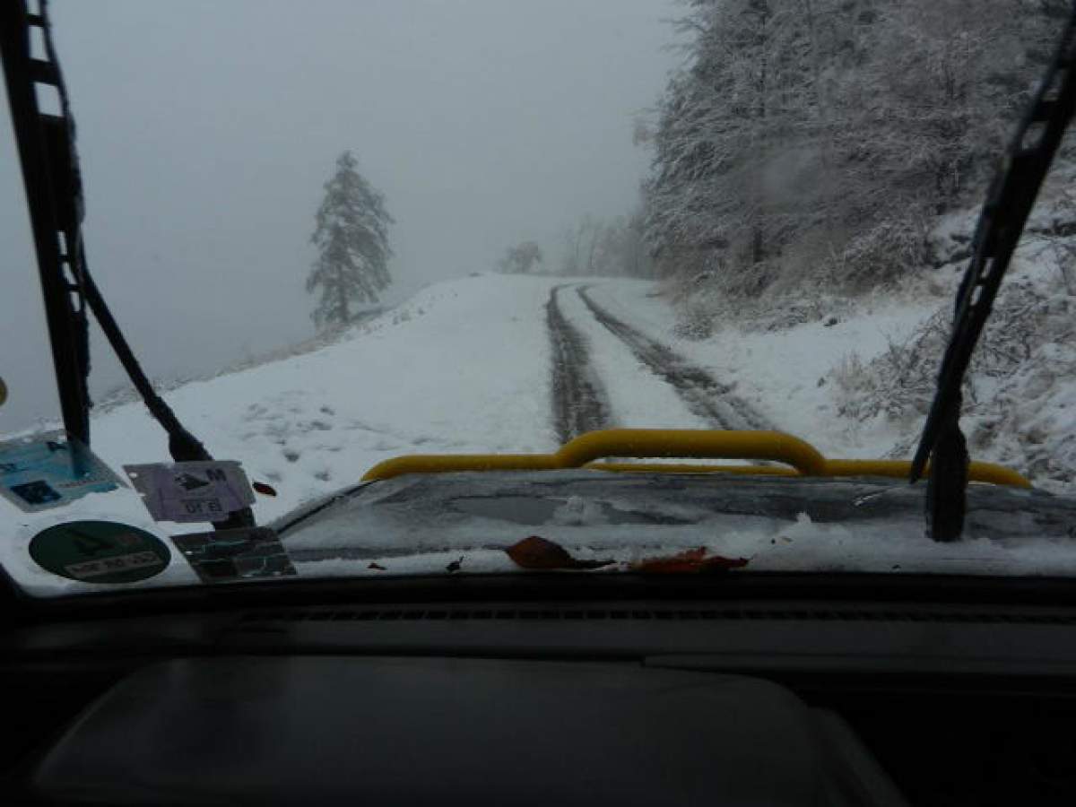 FOTO / A venit iarna! Ninge ca în poveşti în ţară!