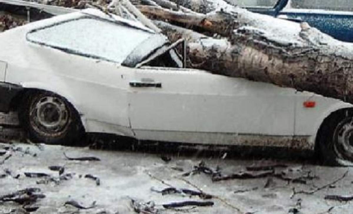 Prima ninsoare a făcut ravagii în Bucureşti! Aproximativ 65 de maşini au fost distruse