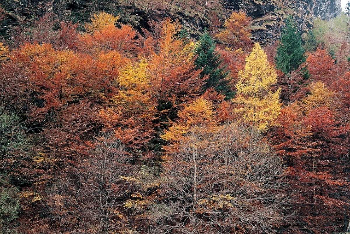 PROGNOZA METEO pe două zile! Cât de frig va fi mâine şi poimâine