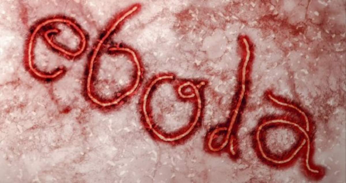 Virusul Ebola a ajuns în redacţia unui ziar australian