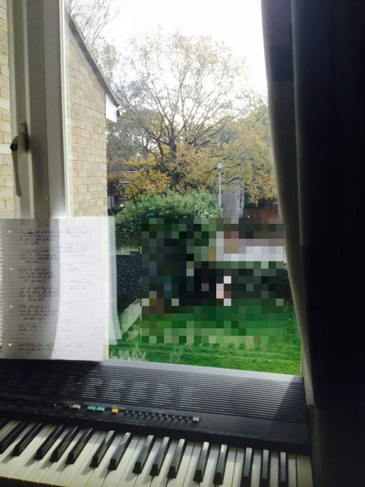18+ Un student a rămas şocat când s-a uitat pe fereastră! Ce se întâmpla la el în grădină întrece orice fel de perversiune