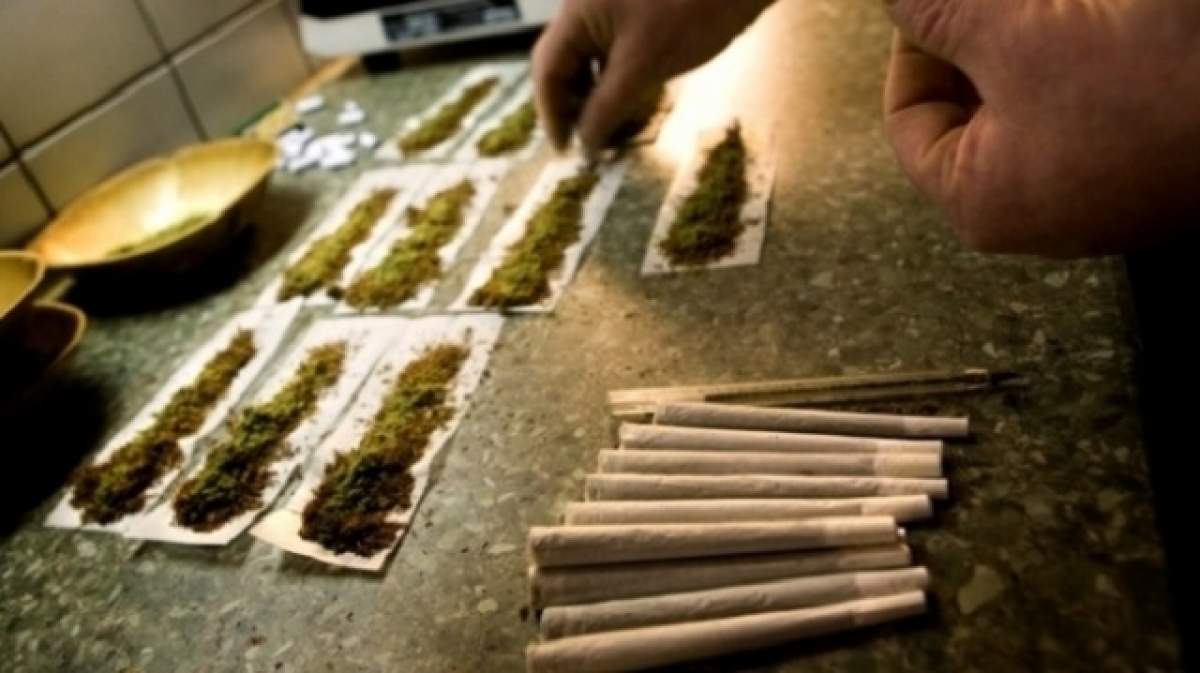 Bărbatul care creştea cannabis pe muzica lui "Vivaldi", trimis în spatele gratiilor