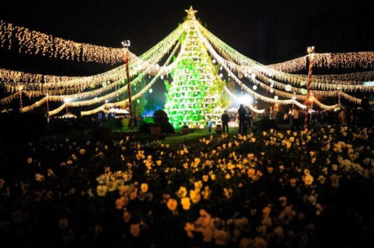 Vin Sărbătorile! Trei milioane de beculeţe de Crăciun vor fi aprinse mâine în Bucureşti