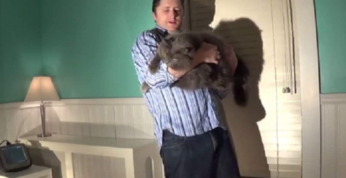 VIDEO / Râzi până mâine! Ce se întâmplă atunci când scapi din braţe o pisică de 15 kilograme?