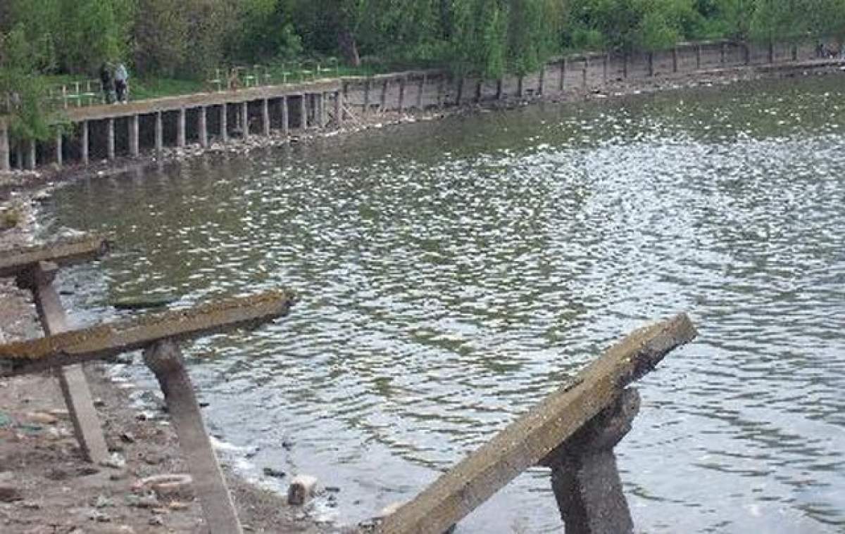 Accident teribil în Capitală! Trei tineri au plonjat cu maşina în lacul Pantelimon