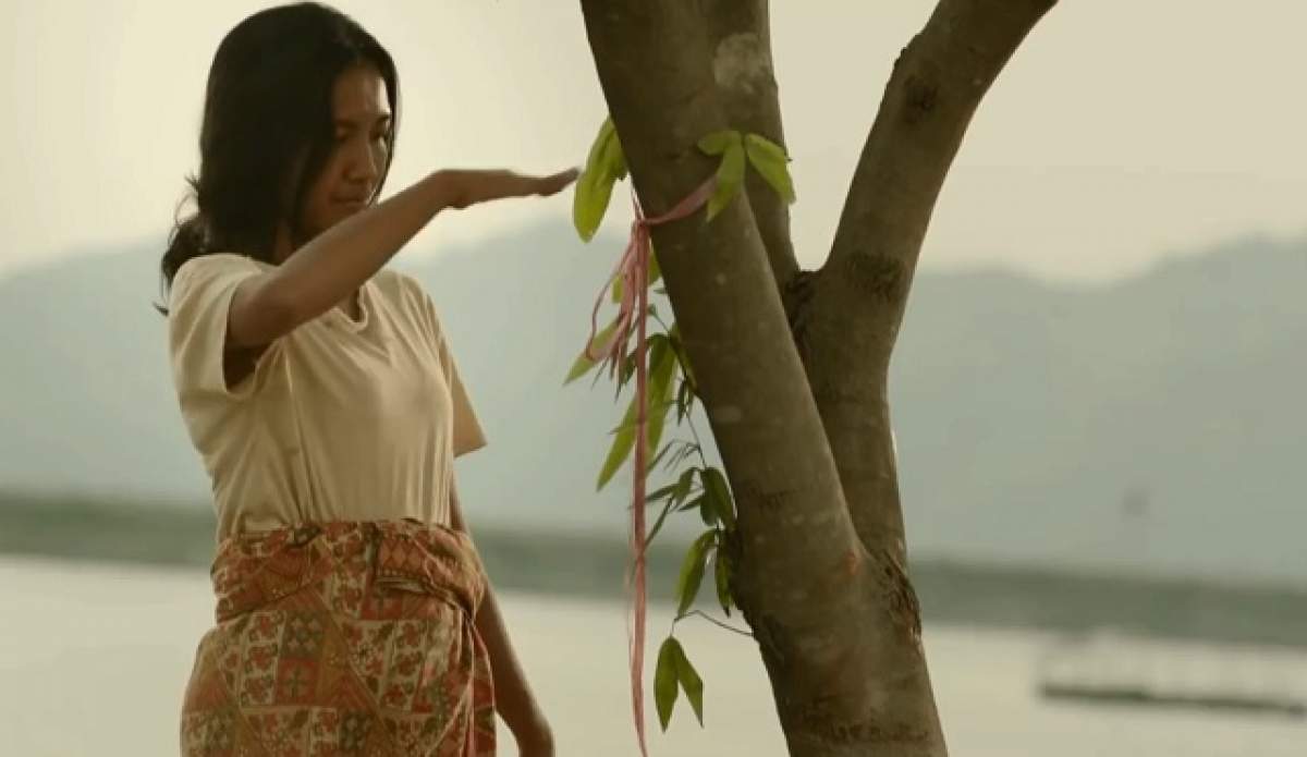 VIDEO / O femeie stă mereu lângă un copac! Motivul ei este cutremurător
