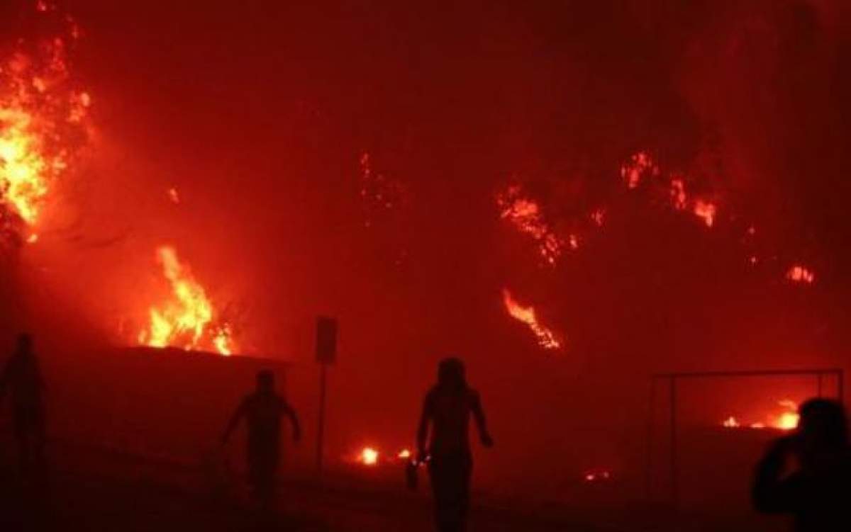 Incendiu devastator într-o fermă din Constanţa! Mai multe animale au murit
