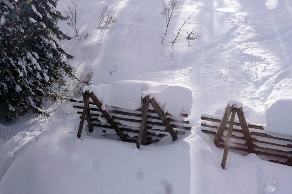 Strat de zăpadă de 124 cm în România! Unde s-a înregistrat