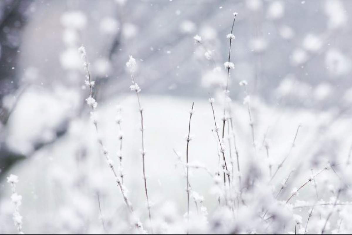 Vine iarna din nou! Vezi anunţul făcut azi de meteorologi