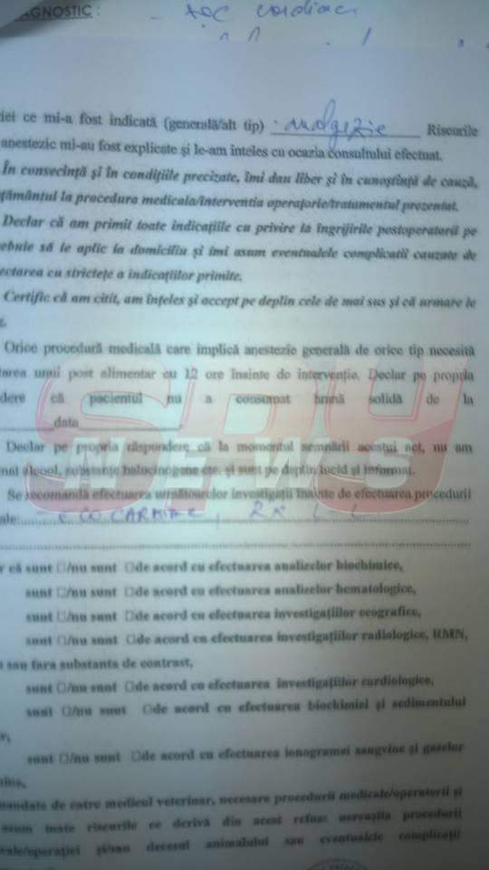 Veterinarul vedetelor, victima unei înscenări? "Sunt ameninţat că mă desfiinţează!"