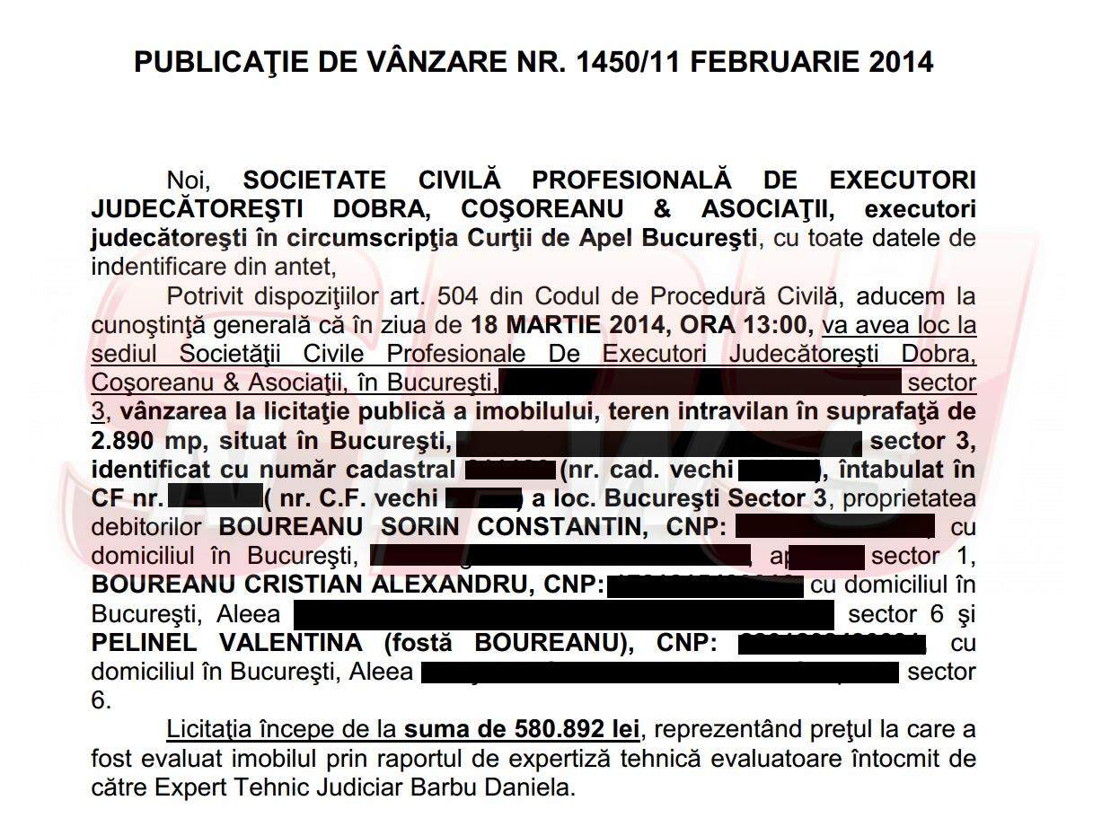 În plin scandal al amantlâcului cu Borcea, fotomodelul a divorţat de politician. Boureanu şi Pelinel - despărţiţi, dar împreună!