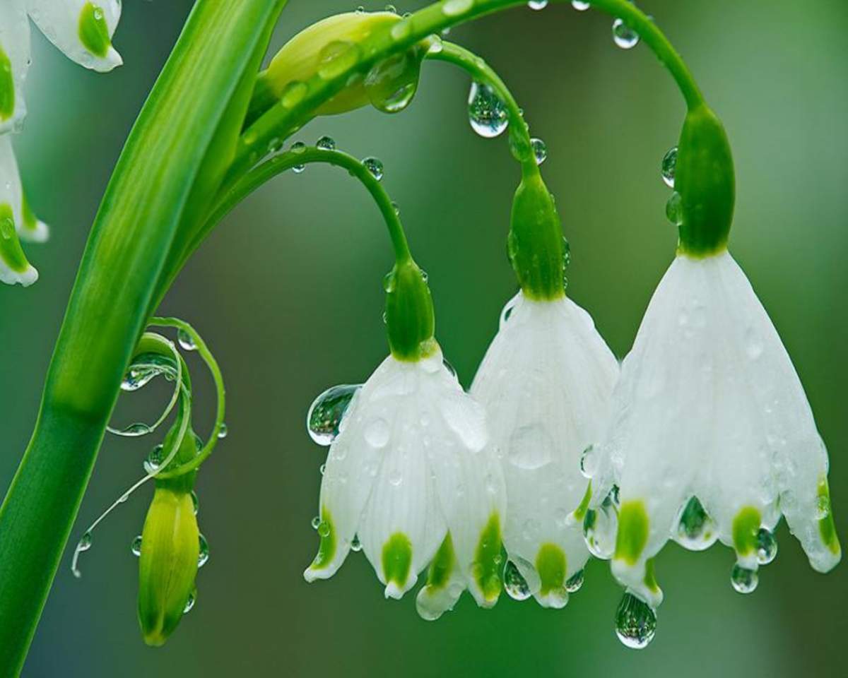 Se schimbă vremea în următoarele zile! Uite anunţul făcut azi de meteorologi!