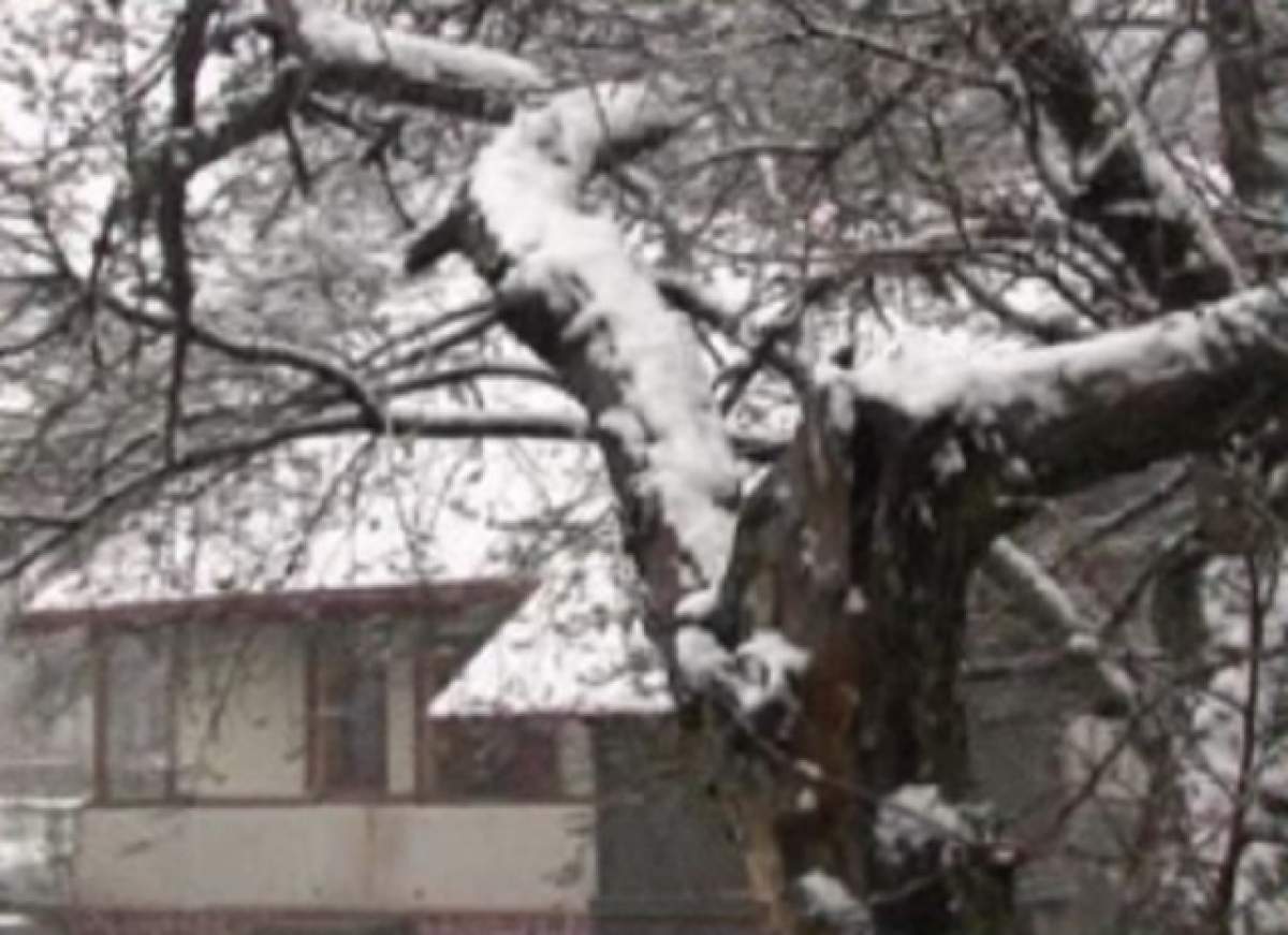Fenomen extrem în luna aprilie! În acest moment ninge în România!