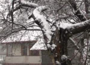 Fenomen extrem în luna aprilie! În acest moment ninge în România!